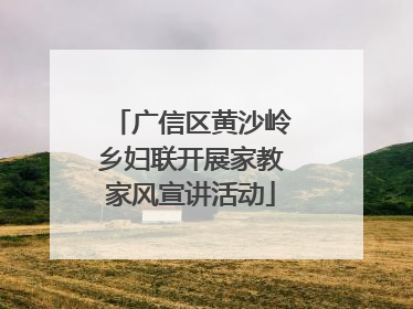 广信区黄沙岭乡妇联开展家教家风宣讲活动