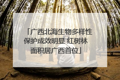 广西北海生物多样性保护成效明显 红树林面积居广西首位