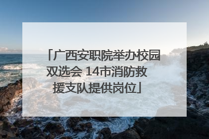 广西安职院举办校园双选会 14市消防救援支队提供岗位