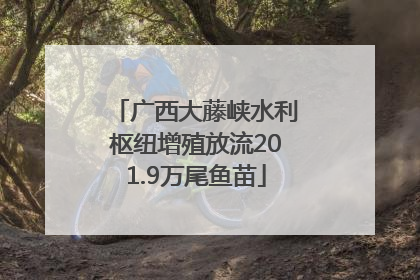 广西大藤峡水利枢纽增殖放流201.9万尾鱼苗