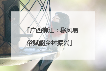 广西柳江：移风易俗赋能乡村振兴