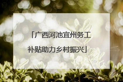 广西河池宜州务工补贴助力乡村振兴