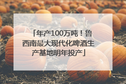 年产100万吨！鲁西南最大现代化啤酒生产基地明年投产
