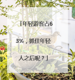 年轻游客占63%，抓住年轻人之后呢？