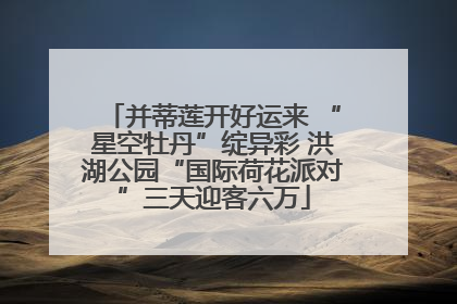 并蒂莲开好运来 “星空牡丹”绽异彩 洪湖公园“国际荷花派对”三天迎客六万