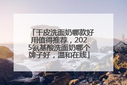 干皮洗面奶哪款好用值得推荐，2025氨基酸洗面奶哪个牌子好，温和在线