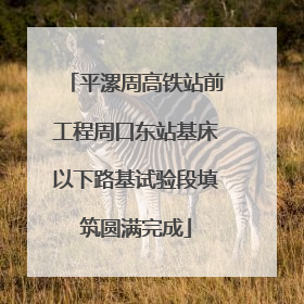 平漯周高铁站前工程周口东站基床以下路基试验段填筑圆满完成