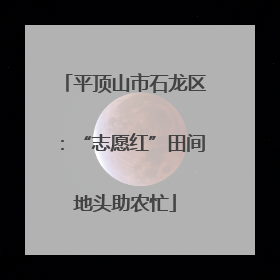 平顶山市石龙区：“志愿红”田间地头助农忙