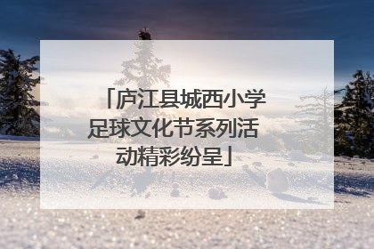 庐江县城西小学足球文化节系列活动精彩纷呈
