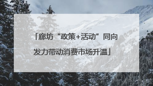 廊坊“政策+活动”同向发力带动消费市场升温