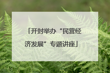 开封举办“民营经济发展”专题讲座