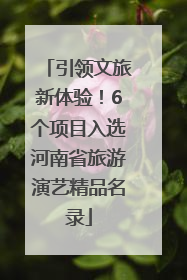 引领文旅新体验！6个项目入选河南省旅游演艺精品名录