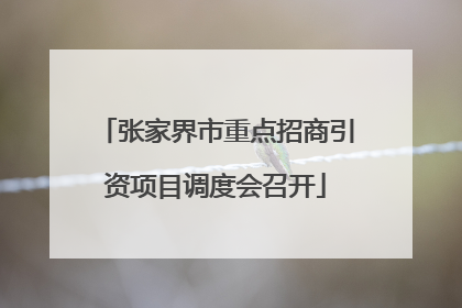 张家界市重点招商引资项目调度会召开