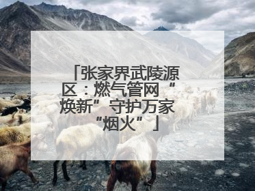 张家界武陵源区：燃气管网“焕新”守护万家“烟火”