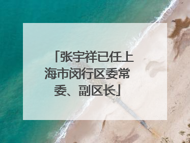 张宇祥已任上海市闵行区委常委、副区长