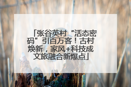 张谷英村“活态密码”引百万客！古村焕新，家风+科技成文旅融合新爆点