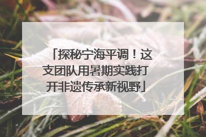 探秘宁海平调！这支团队用暑期实践打开非遗传承新视野