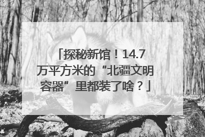 探秘新馆！14.7万平方米的“北疆文明容器”里都装了啥？