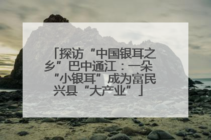 探访“中国银耳之乡”巴中通江：一朵“小银耳”成为富民兴县“大产业”
