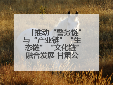 推动“警务链”与“产业链”“生态链”“文化链”融合发展 甘肃公安打造陇原旅游警务品牌