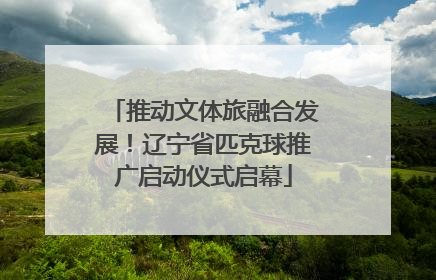 推动文体旅融合发展！辽宁省匹克球推广启动仪式启幕