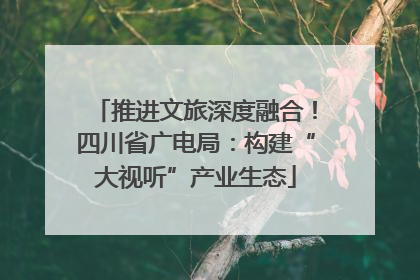 推进文旅深度融合！四川省广电局：构建“大视听”产业生态