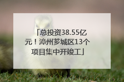 总投资38.55亿元！漳州芗城区13个项目集中开竣工