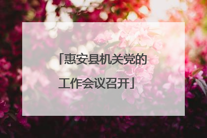 惠安县机关党的工作会议召开