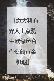 意大利商界人士点赞中欧绿色合作蕴藏黄金机遇