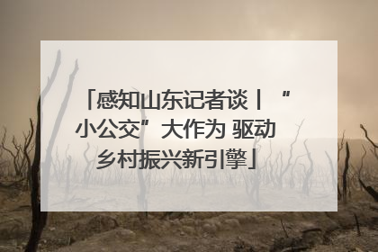 感知山东记者谈丨“小公交”大作为 驱动乡村振兴新引擎