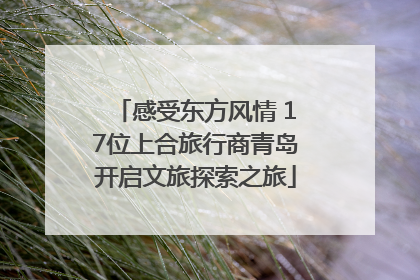 感受东方风情 17位上合旅行商青岛开启文旅探索之旅