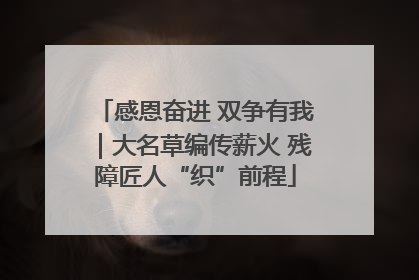 感恩奋进 双争有我｜大名草编传薪火 残障匠人“织”前程