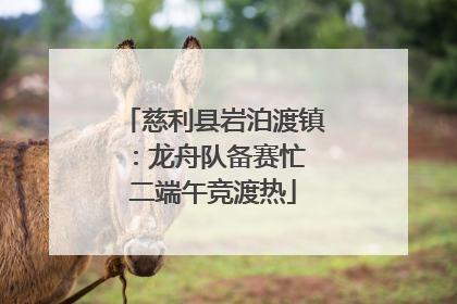 慈利县岩泊渡镇：龙舟队备赛忙 二端午竞渡热