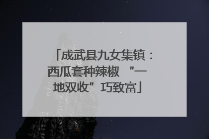 成武县九女集镇：西瓜套种辣椒 “一地双收”巧致富