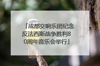 成都交响乐团纪念反法西斯战争胜利80周年音乐会举行