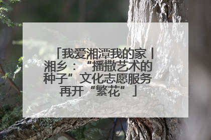 我爱湘潭我的家丨湘乡：“播撒艺术的种子”文化志愿服务再开“繁花”