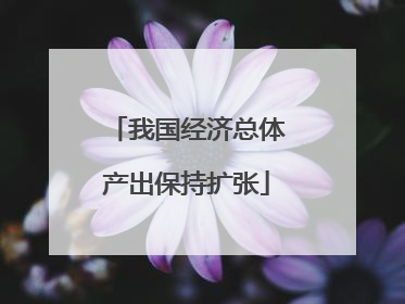 我国经济总体产出保持扩张