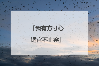 我有方寸心 铜官不止窑