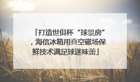 打造世俱杯“球景房”，海信冰箱用真空磁场保鲜技术满足球迷味蕾