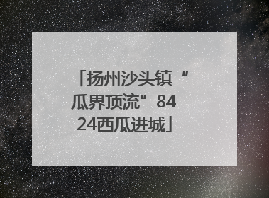 扬州沙头镇“瓜界顶流”8424西瓜进城