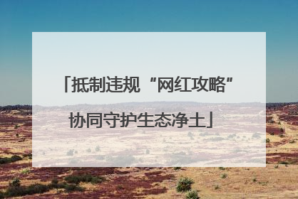 抵制违规“网红攻略” 协同守护生态净土