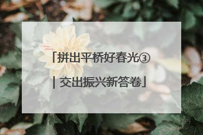 拼出平桥好春光③｜交出振兴新答卷