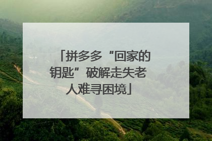 拼多多“回家的钥匙”破解走失老人难寻困境