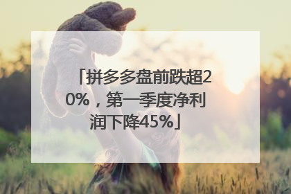 拼多多盘前跌超20%，第一季度净利润下降45%
