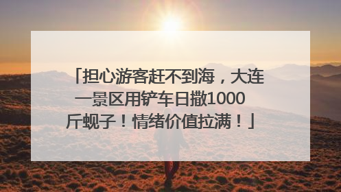 担心游客赶不到海，大连一景区用铲车日撒1000斤蚬子！情绪价值拉满！