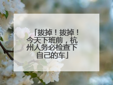 拔掉！拔掉！今天下班前，杭州人务必检查下自己的车