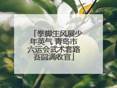 拳脚生风展少年英气 青岛市六运会武术套路赛圆满收官