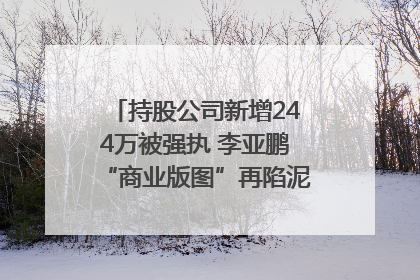 持股公司新增244万被强执 李亚鹏“商业版图”再陷泥潭？｜科技观察