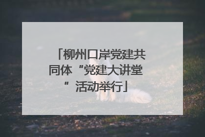 柳州口岸党建共同体“党建大讲堂”活动举行