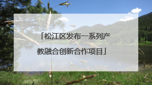 松江区发布一系列产教融合创新合作项目